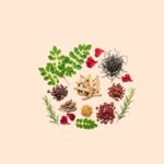 Jadhibuti Thali Hair Oil - Image 2