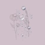 Rice Water Face Mist - Image 2