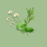 Anti-Acne Cream - Image 2